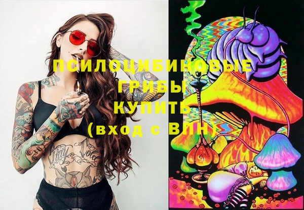 кокаин Белокуриха