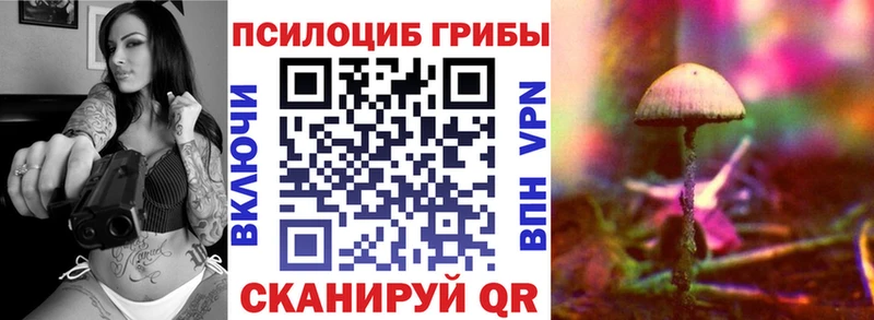Псилоцибиновые грибы Psilocybine cubensis  как найти закладки  Волосово 