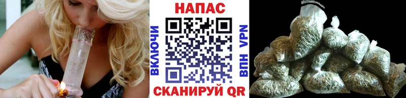 Шишки марихуана SATIVA & INDICA  Волосово 